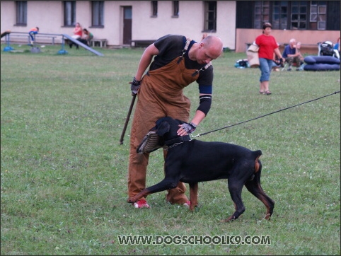 Training camp - Lukova 2007